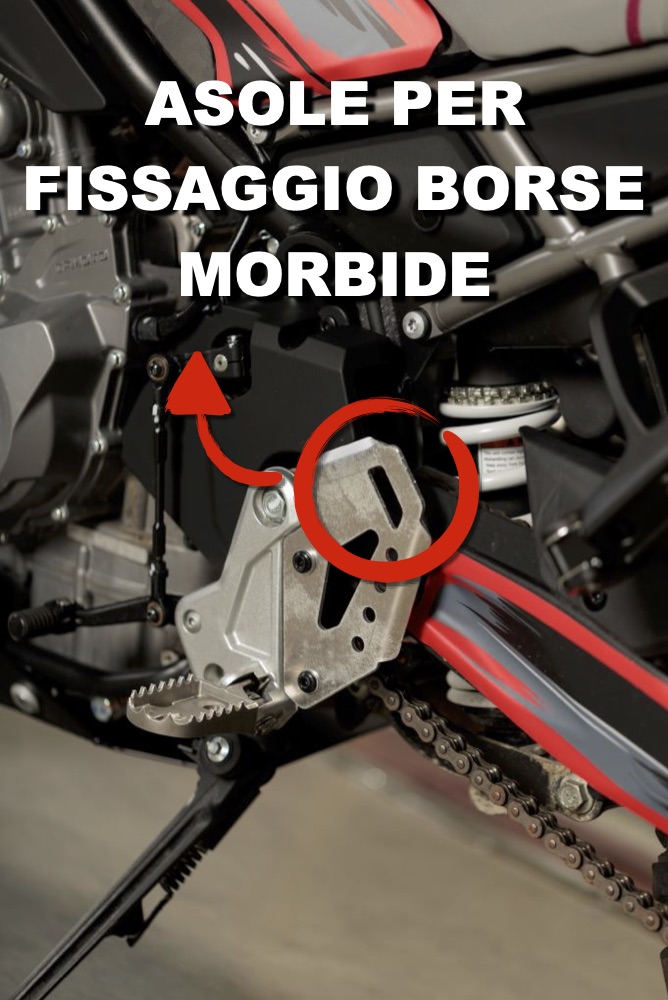 asole borse morbide CF Moto 450MT (1)